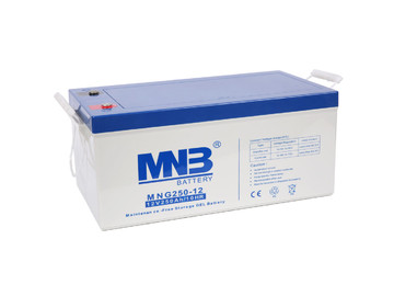 Аккумуляторная батарея MNB Battery MNG250-12